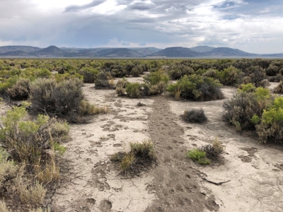 Nevada Recreational Ranch Hunting Land For Sale Washoe Co - image 12