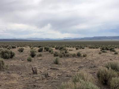 Nevada Recreational Ranch Hunting Land For Sale Washoe Co - image 6