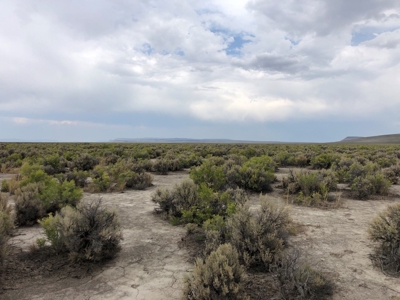 Nevada Recreational Ranch Hunting Land For Sale Washoe Co - image 7