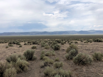 Nevada Recreational Ranch Hunting Land For Sale Washoe Co - image 5