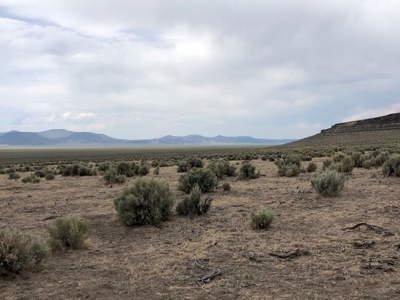 Nevada Recreational Ranch Hunting Land For Sale Washoe Co - image 4