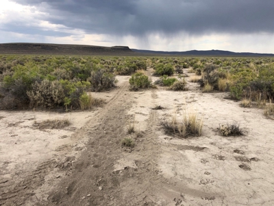 Nevada Recreational Ranch Hunting Land For Sale Washoe Co - image 13