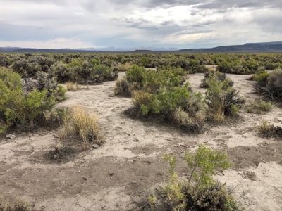 Nevada Recreational Ranch Hunting Land For Sale Washoe Co - image 11