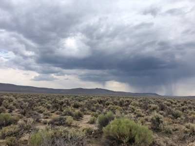 Nevada Recreational Ranch Hunting Land For Sale Washoe Co - image 2