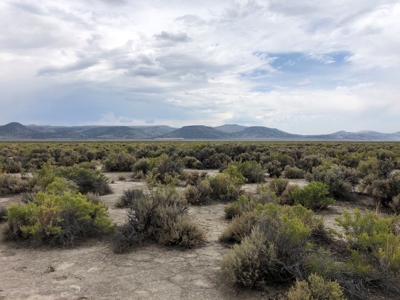 Nevada Recreational Ranch Hunting Land For Sale Washoe Co - image 1