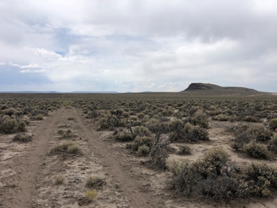 Nevada Recreational Ranch Hunting Land For Sale Washoe Co - image 3