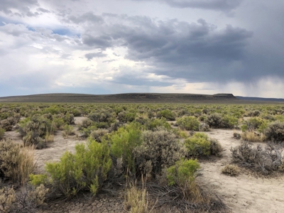 Nevada Recreational Ranch Hunting Land For Sale Washoe Co - image 9