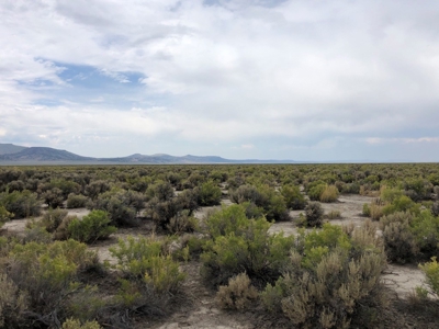 Nevada Recreational Ranch Hunting Land For Sale Washoe Co - image 10
