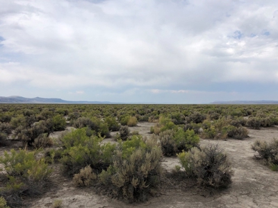 Nevada Recreational Ranch Hunting Land For Sale Washoe Co - image 8