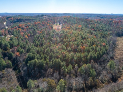 Wooded acreage for sale in Alexander County North Carolina - image 9