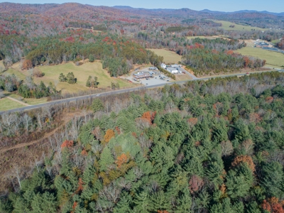 Wooded acreage for sale in Alexander County North Carolina - image 13