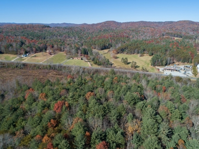 Wooded acreage for sale in Alexander County North Carolina - image 16
