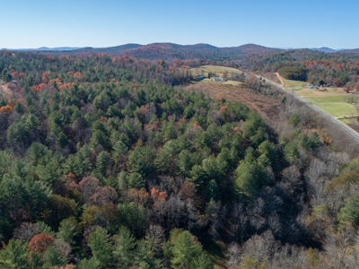 Wooded acreage for sale in Alexander County North Carolina - image 19