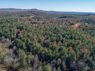 Wooded acreage for sale in Alexander County North Carolina - image 10
