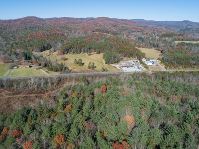 Wooded acreage for sale in Alexander County North Carolina - image 14