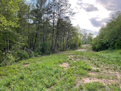 Wooded acreage for sale in Alexander County North Carolina - image 7