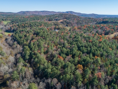 Wooded acreage for sale in Alexander County North Carolina - image 11