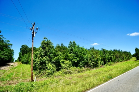 40 Acre Residential / Timber / Grand Cane, La - image 3