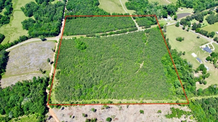 40 Acre Residential / Timber / Grand Cane, La - image 9