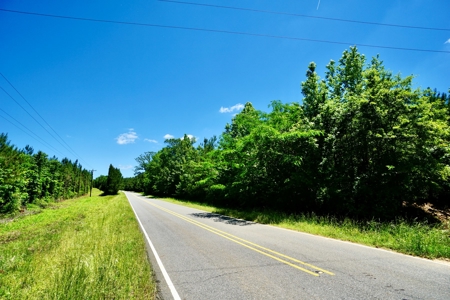 40 Acre Residential / Timber / Grand Cane, La - image 2
