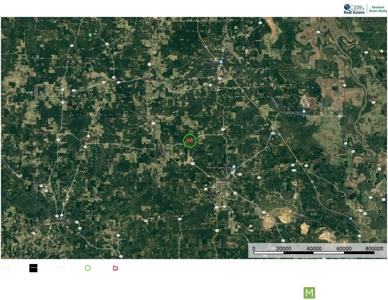 40 Acre Residential / Timber / Grand Cane, La - image 16