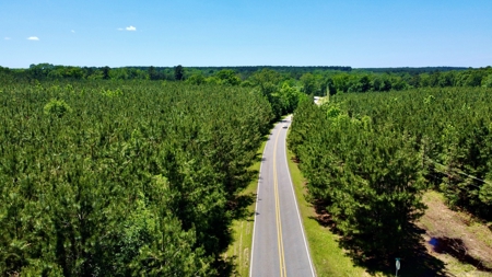40 Acre Residential / Timber / Grand Cane, La - image 1