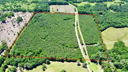 40 Acre Residential / Timber / Grand Cane, La - image 8
