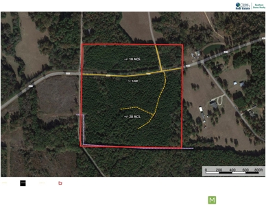 40 Acre Residential / Timber / Grand Cane, La - image 14