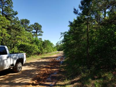 23.7 Acre Recreational Property - Off-Grid Cabin - image 17