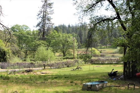 Northern California Country Property For Sale - image 4