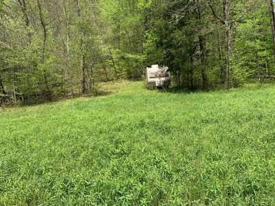 East Tennessee Land For Sale Hancock County at Auction - image 21