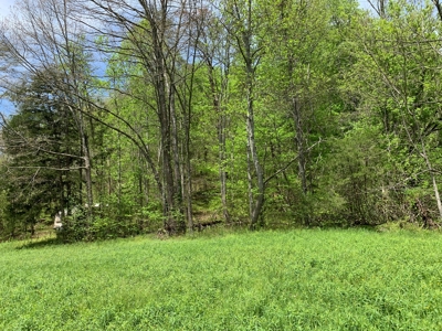 East Tennessee Land For Sale Hancock County at Auction - image 20