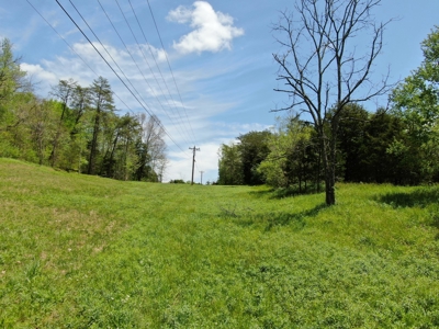 East Tennessee Land For Sale Hancock County at Auction - image 14