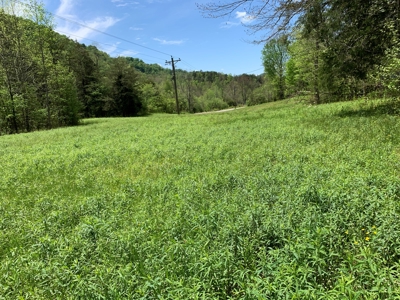 East Tennessee Land For Sale Hancock County at Auction - image 18