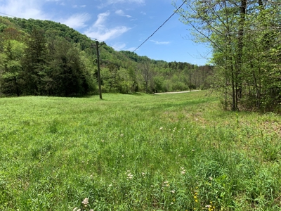East Tennessee Land For Sale Hancock County at Auction - image 17