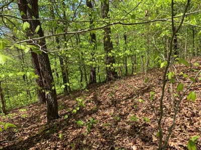 East Tennessee Land For Sale Hancock County at Auction - image 33