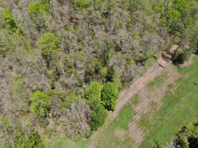 East Tennessee Land For Sale Hancock County at Auction - image 10