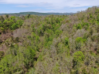 East Tennessee Land For Sale Hancock County at Auction - image 8