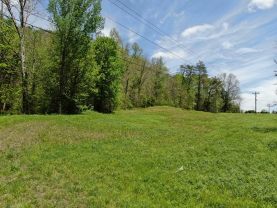 East Tennessee Land For Sale Hancock County at Auction - image 13