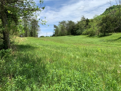 East Tennessee Land For Sale Hancock County at Auction - image 39