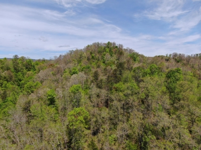 East Tennessee Land For Sale Hancock County at Auction - image 2