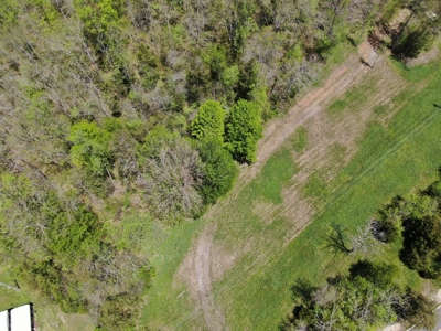 East Tennessee Land For Sale Hancock County at Auction - image 9