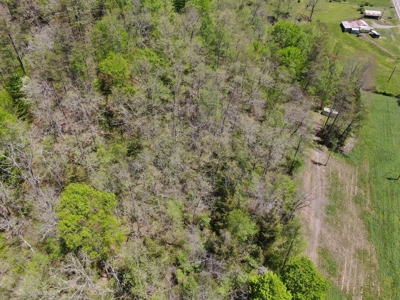 East Tennessee Land For Sale Hancock County at Auction - image 4