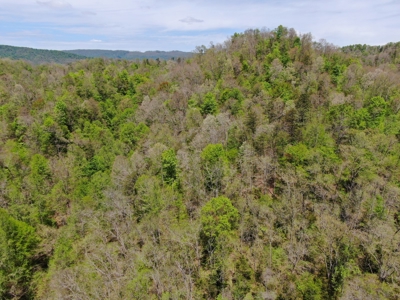 East Tennessee Land For Sale Hancock County at Auction - image 7