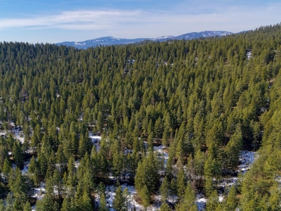 25 Beautiful Acres close to Lake Roosevelt and Public Land - image 3