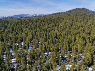 25 Beautiful Acres close to Lake Roosevelt and Public Land - image 2