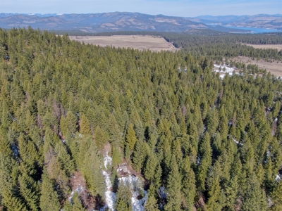 25 Beautiful Acres close to Lake Roosevelt and Public Land - image 16