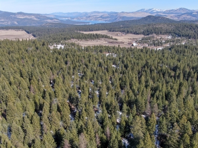 25 Beautiful Acres close to Lake Roosevelt and Public Land - image 10