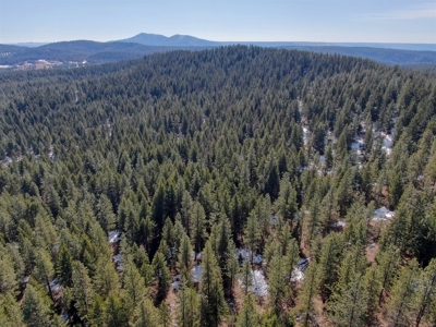 25 Beautiful Acres close to Lake Roosevelt and Public Land - image 8