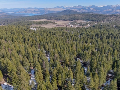 25 Beautiful Acres close to Lake Roosevelt and Public Land - image 11